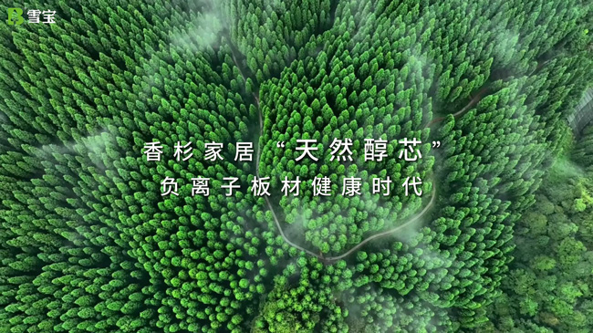 ʲôҪIľ¹
